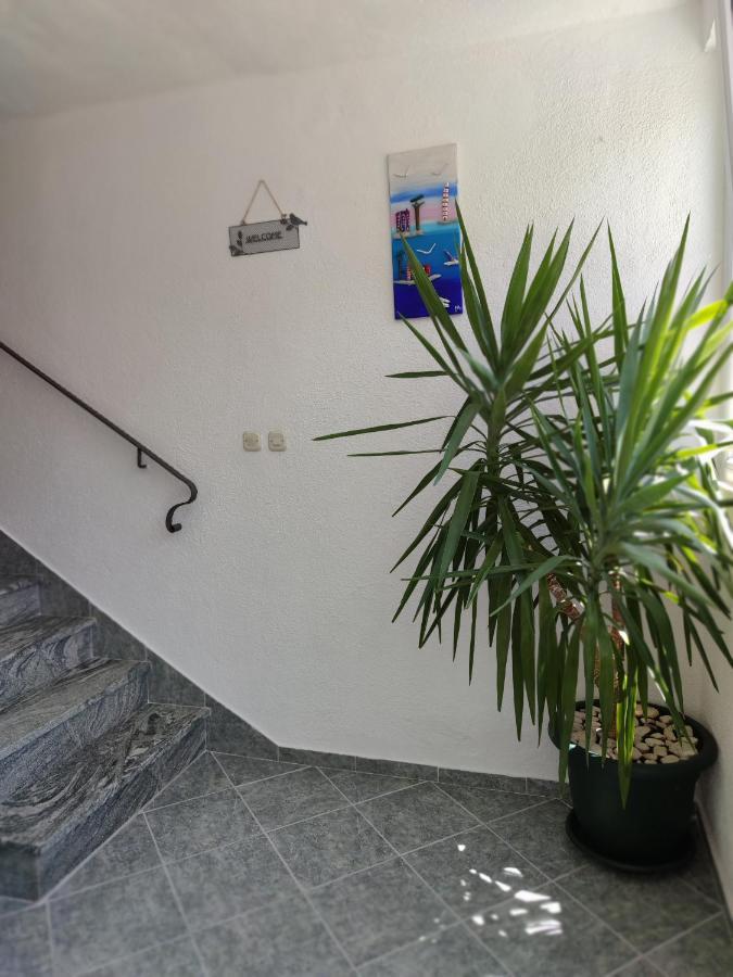 Apartments And Rooms Marica ماكارسكا المظهر الخارجي الصورة